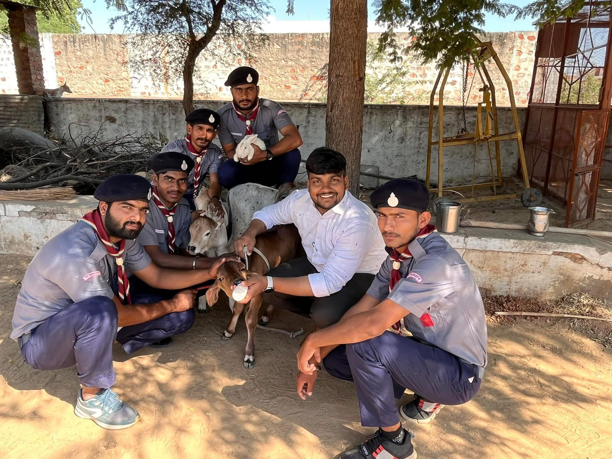 Community Service - Animal Care